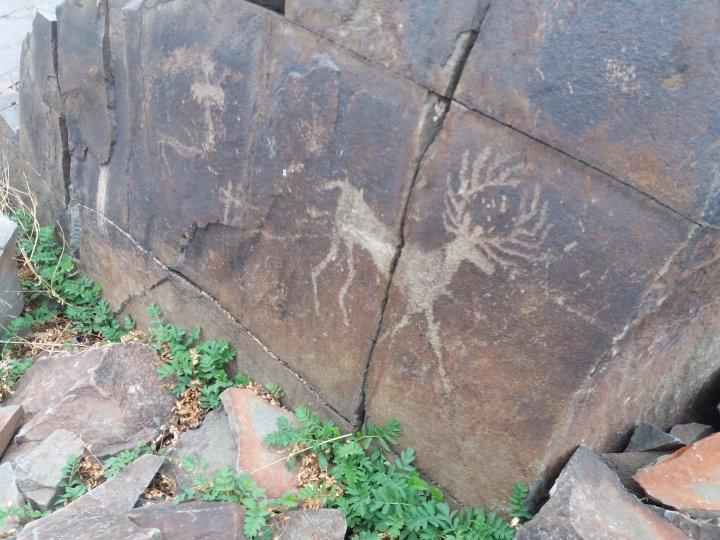 Туған жер бағдарламасы-жалпы ұлттық патриотизмнің негізі