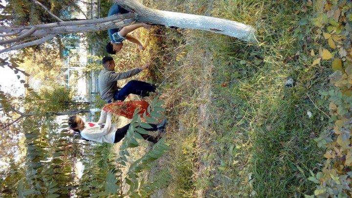 Сенбілік жұмыс